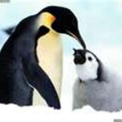 Timeline: The Amazing race to the South Pole  By  Lauren and Millie