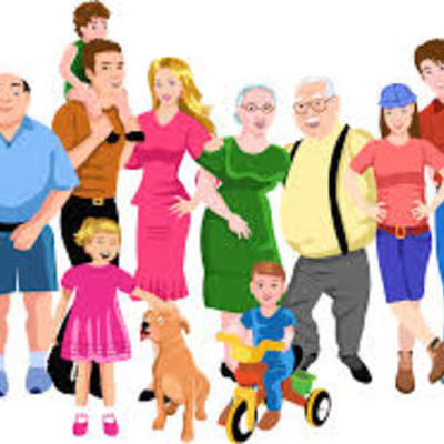 Timeline: planeacion de clases de los distintos tipos de familias