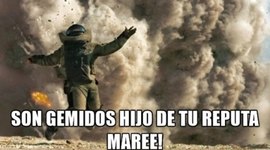 Timeline: historia de las celulas