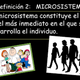 Microsistemas