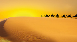 Timeline: Midden Oosten 1945-2010