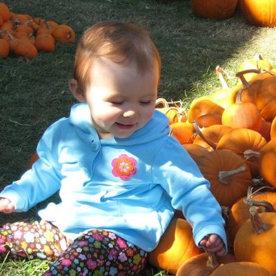 Timeline: Meredith's First Year