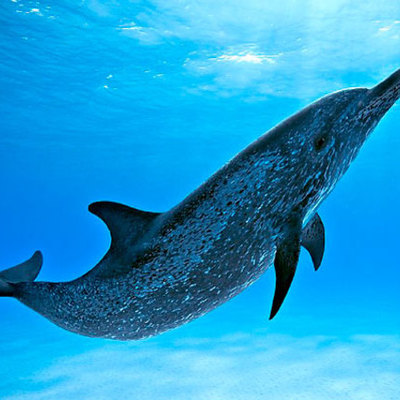 Timeline: TURISMO EN EL TIEMPO