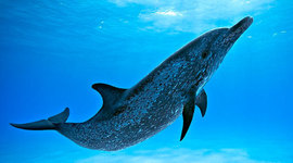 Timeline: TURISMO EN EL TIEMPO