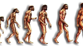 Timeline: El hombre y su evolucion