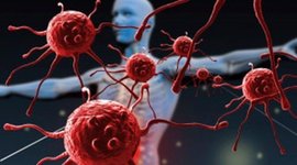 Timeline: Inmunología