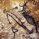 Prehistoria lascaux nm