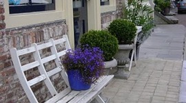 Timeline: Janet's Autobiographical Timeline