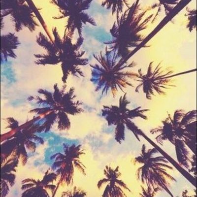 Timeline: EXAMEN FINAL RECUROS MULTIMEDIA JASMIN ESMERALDA HERNANDEZ