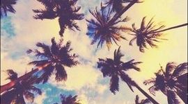 Timeline: EXAMEN FINAL RECUROS MULTIMEDIA JASMIN ESMERALDA HERNANDEZ