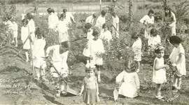 Timeline: la adolescencia