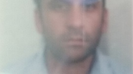 Timeline: EVOLUCION DEL SISTEMA NERVIOSO