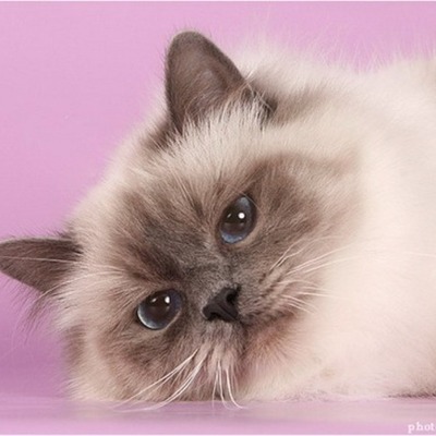 Timeline: Носители информации