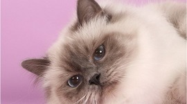 Timeline: Носители информации