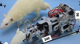 Timeline: Inventos de la robótica