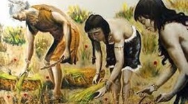 Timeline: Culturas Ecuatorianas del Período Formativo