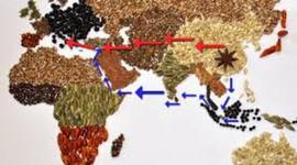 Timeline: 2.3 European Footholds in Southeast Asia