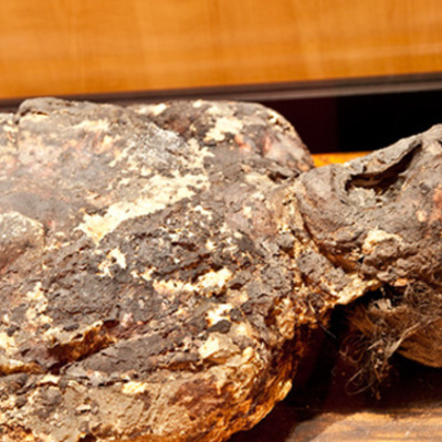 Timeline: Decomposition