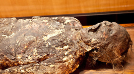 Timeline: Decomposition