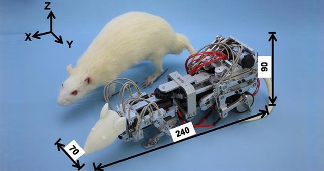 Inventos de la robòtica timeline | Timetoast timelines