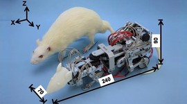 Timeline: Inventos de la robòtica