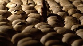 Timeline: Genocides of the 20th and 21st Century