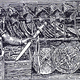 Vennskap 507