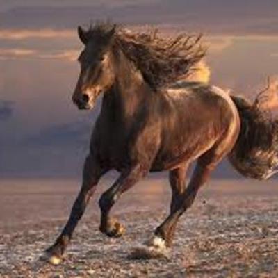 Timeline: azz's frist seven weeks at scc