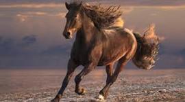 Timeline: azz's frist seven weeks at scc