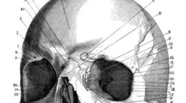 Timeline: Major Events in Decomposition
