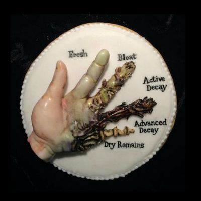 Timeline: Decomposition