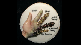 Timeline: Decomposition