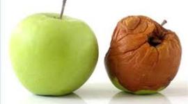 Timeline: Decomposition