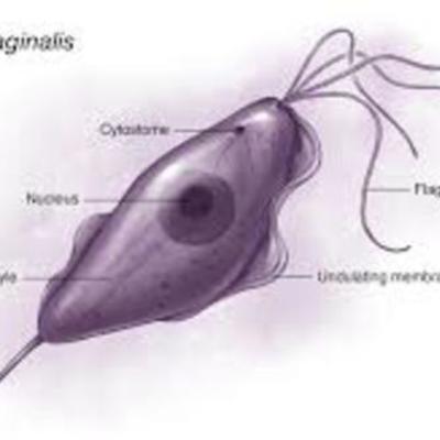 Timeline: Linea del tiempo Marco histórico