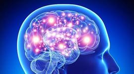 Timeline: linea de tiempo epistemologia