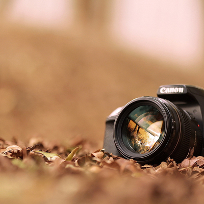 Timeline: Photographer Timeline