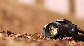 Timeline: Photographer Timeline