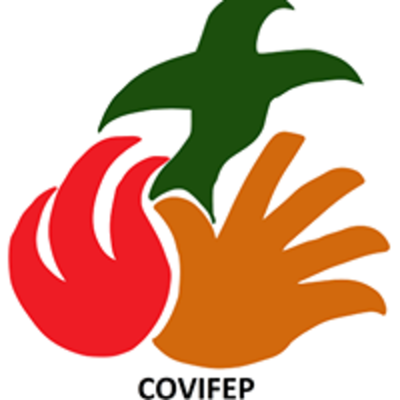 Timeline: Línea de tiempo del proceso comunicacional de la COVIFEP