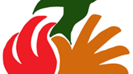 Timeline: Línea de tiempo del proceso comunicacional de la COVIFEP