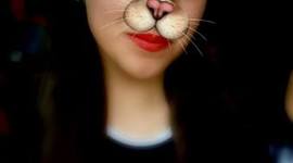 Timeline: Biografía de Paula Celis