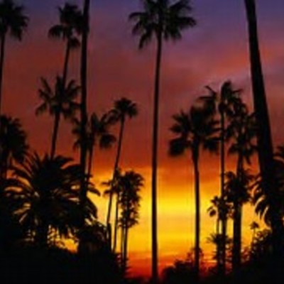 Timeline: california