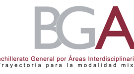 Timeline: Responsabilidades  del Asesor. BGAI