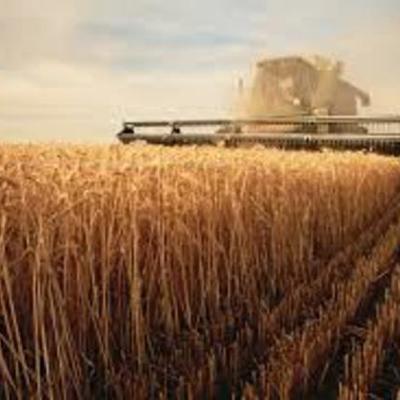 Timeline: Farm Bill Over Time