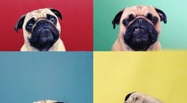 Timeline: обучение длиной в жизнь