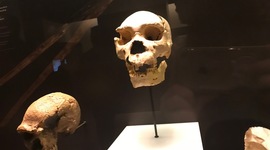 Timeline: Edades de la historia Península Iberica