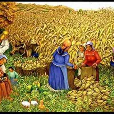 Timeline: historia de alimentación saludable