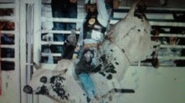 Timeline: My time line