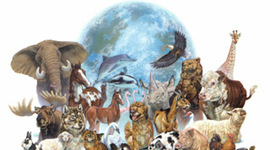 Timeline: los seres vivos