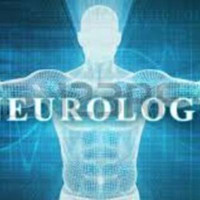 Timeline: EPIDEMIOLOGÍA