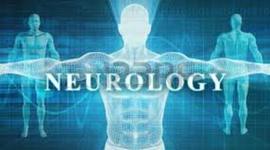 Timeline: EPIDEMIOLOGÍA